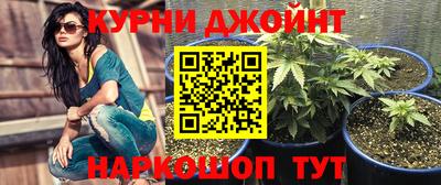 СК Гагарин