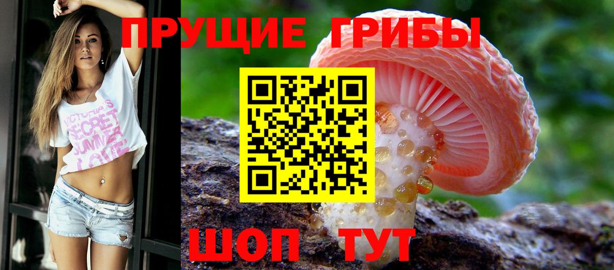 Галлюциногенные грибы прущие грибы Мценск
