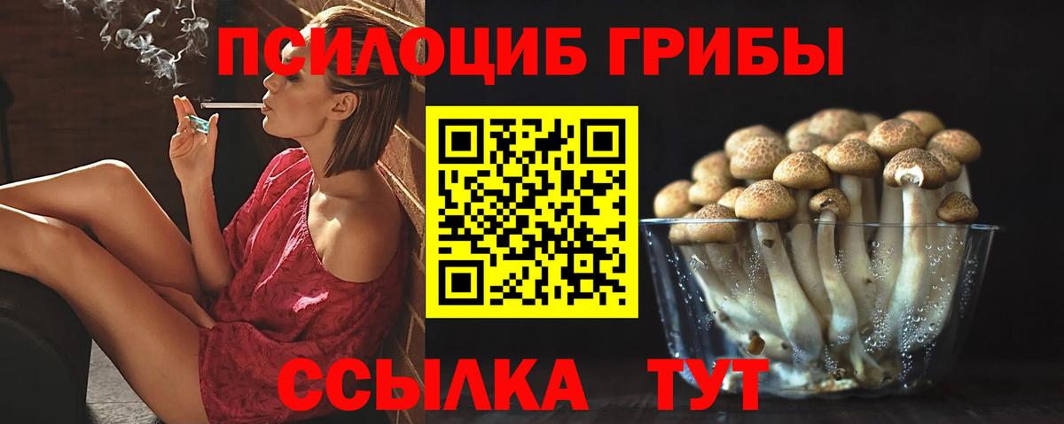 Мценск  Псилоцибиновые грибы Psilocybe  Вход с VPN 