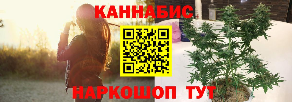 Шишки марихуана марихуана Мценск