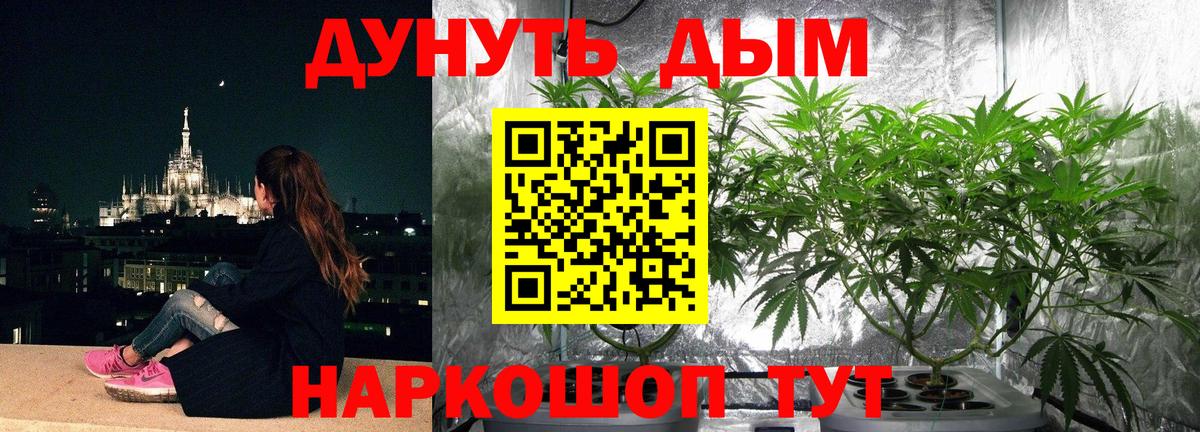 Мценск  Канабис сатива  Конопля тримм  Вход с VPN 